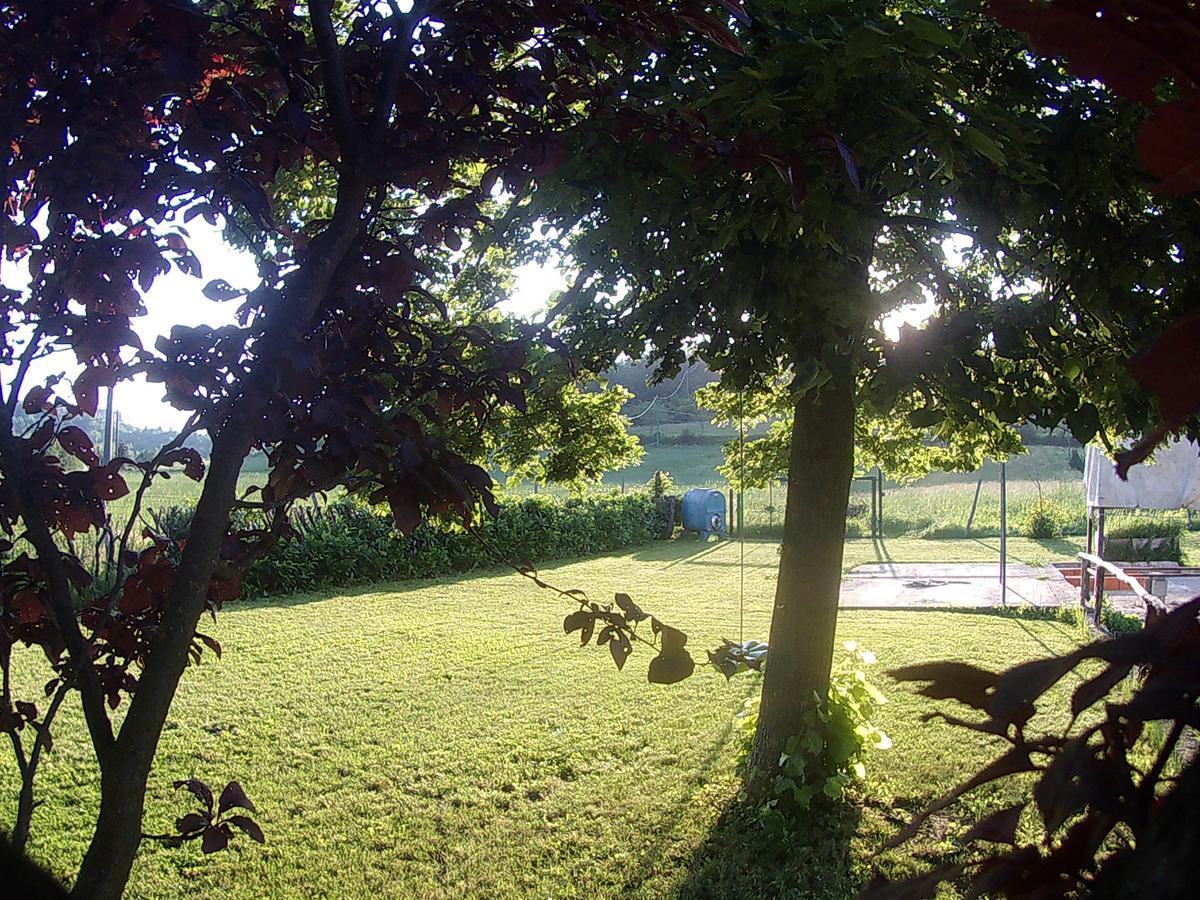 Gavi/Alice Open Space Panzió Kültér fotó